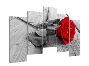 Kép - rózsa, piros virág
