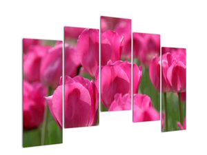 Festmények - tulipánok