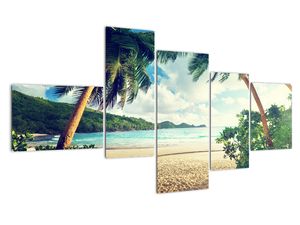 Kép - pálmafák, a tengerparton