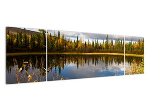 Kép a falon - erdei tó