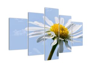 Modern kép - virágok
