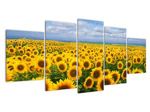 Modern képek - táj