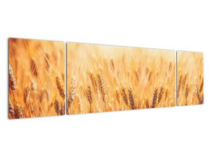 Modern képek - táj