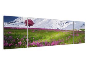Modern képek - táj