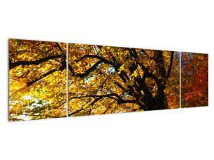 Modern képek - táj