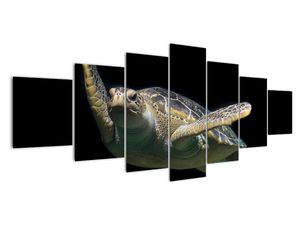 Vászonképek