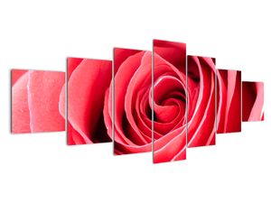 Vászonképek