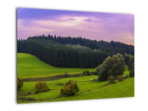 Modern képek - táj